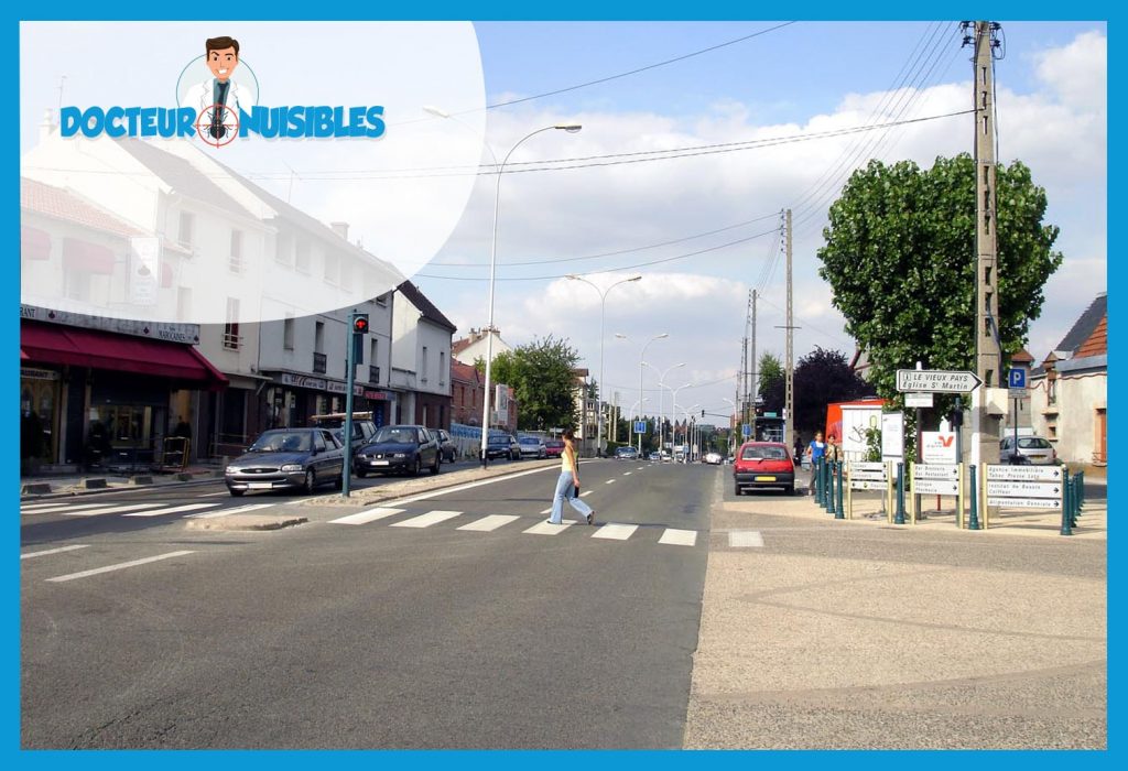 Gonesse – Où trouver des salopes et quels tarifs ?